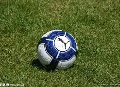 开云体育,资讯,开云体育KaiYun,开云体育KaiYun,Sports官网,KaiYun,Sports开云体育娱乐,开云体育投注,开云体育平台,开云体育赛事直播,开云体育app下载