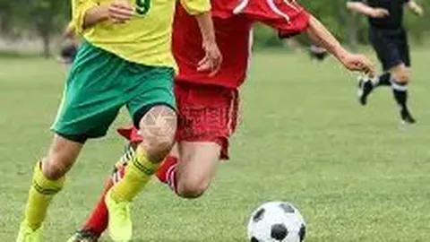 开云体育 资讯 083833 3mz