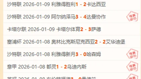阿森纳今夏无大手笔引援，计划明年加强中场及锋线阵容